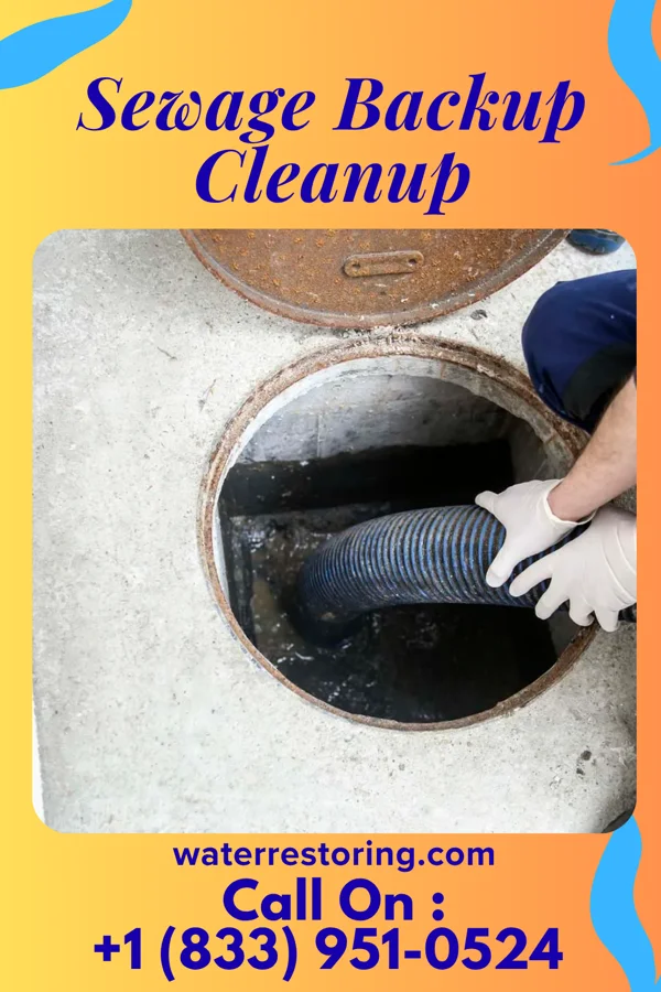 Sewage Backup Cleanup in Garfield, TX