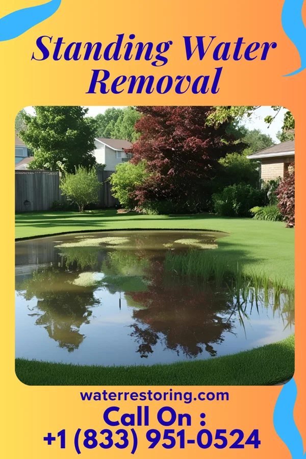 Standing Water Removal in Garfield, TX
